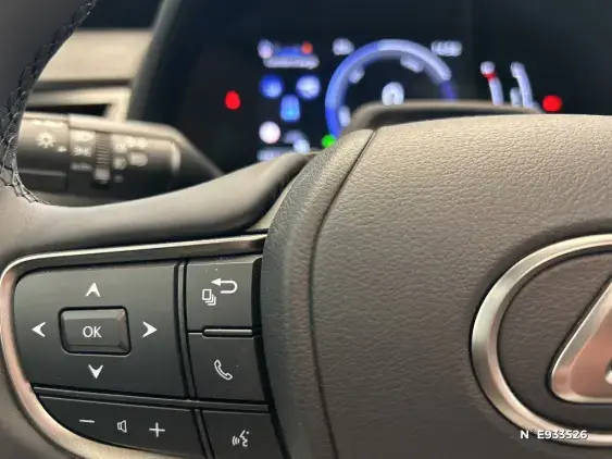 LEXUS UX - voiture de démonstration - Photo 26