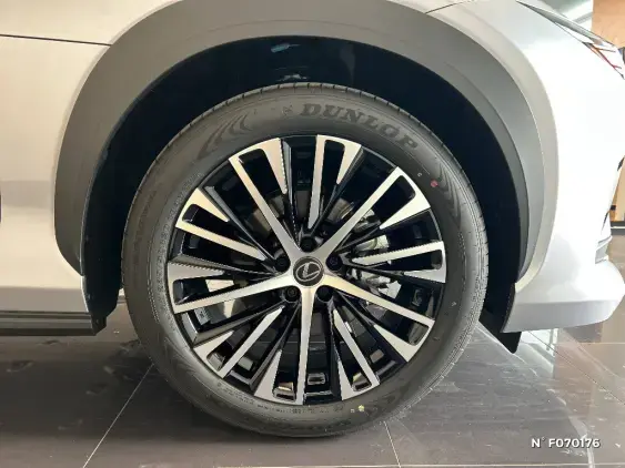 LEXUS RZ - voiture de démonstration - Photo 8