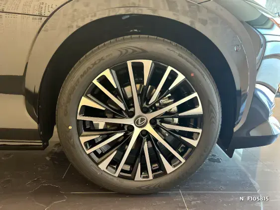 LEXUS RZ - voiture de démonstration - Photo 8