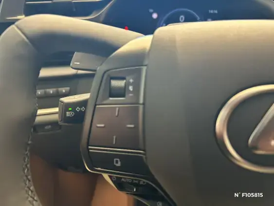 LEXUS RZ - voiture de démonstration - Photo 26