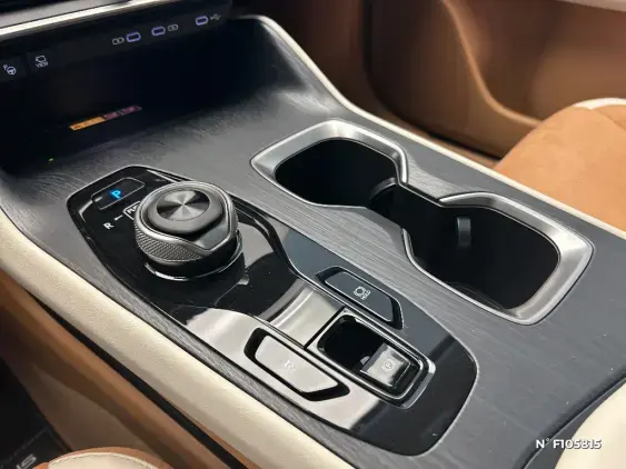 LEXUS RZ - voiture de démonstration - Photo 30