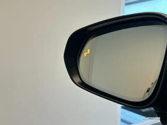 LEXUS RZ - voiture de démonstration - Photo 33