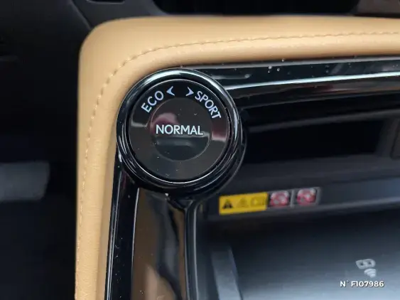 LEXUS NX II - voiture de démonstration - Photo 39