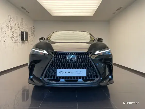 LEXUS NX II - voiture de démonstration - Photo 3