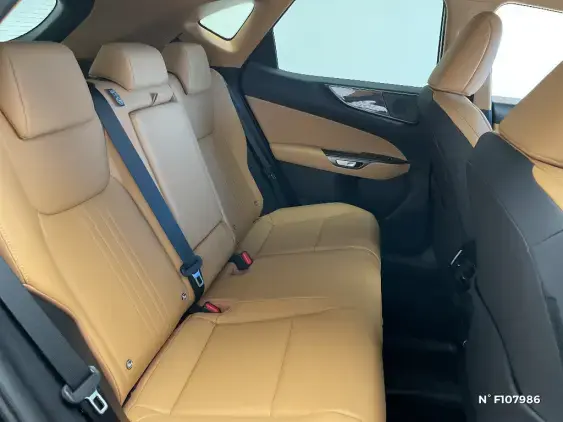 LEXUS NX II - voiture de démonstration - Photo 11