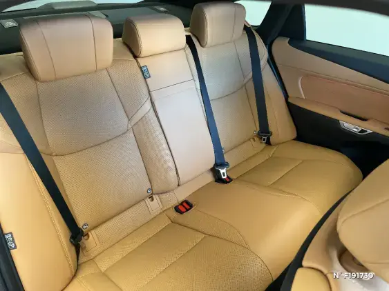 LEXUS ES VIII - voiture de démonstration - Photo 11