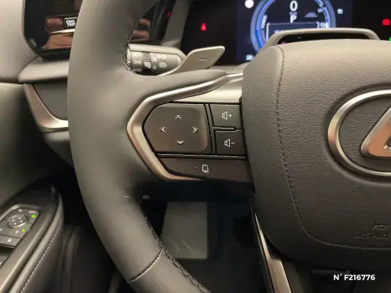 LEXUS RZ - voiture de démonstration - Photo 28