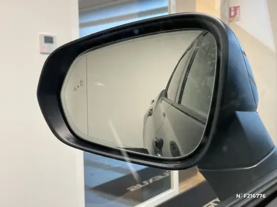 LEXUS RZ - voiture de démonstration - Photo 34