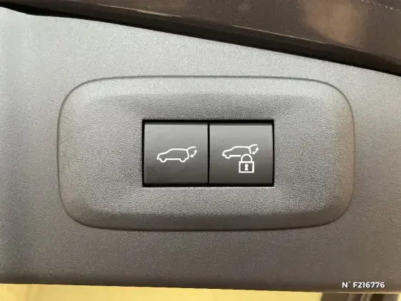LEXUS RZ - voiture de démonstration - Photo 39