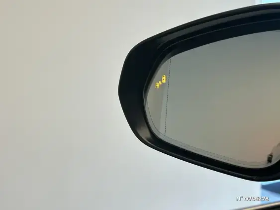 LEXUS RX V - voiture de démonstration - Photo 34