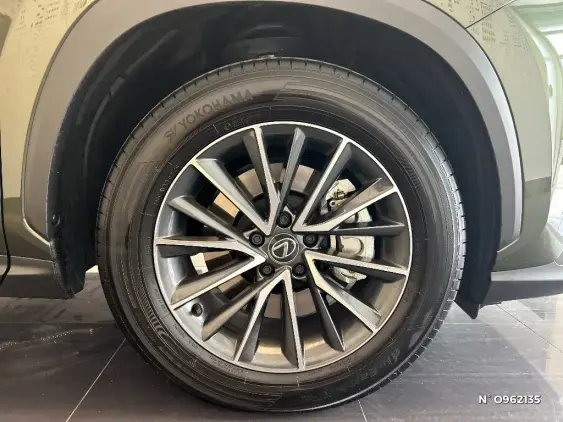 LEXUS NX II - voiture de démonstration - Photo 8