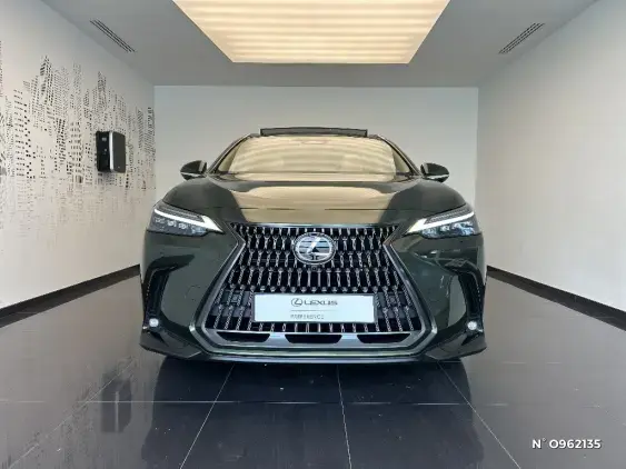 LEXUS NX II - voiture de démonstration - Photo 3