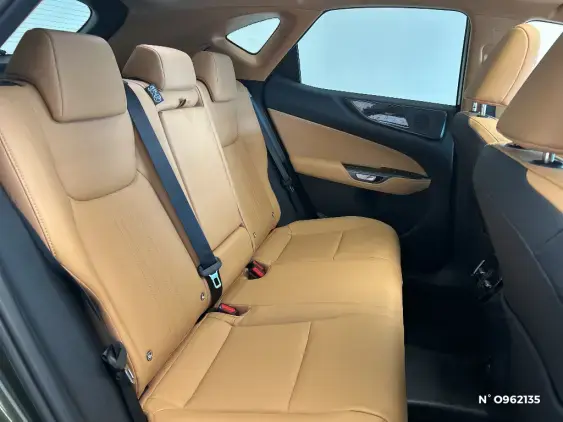 LEXUS NX II - voiture de démonstration - Photo 11