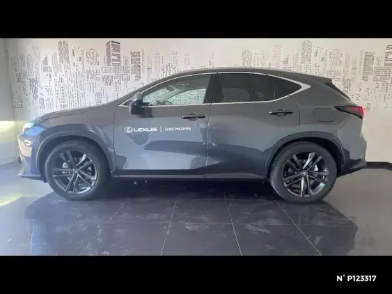 LEXUS NX II - voiture de démonstration - Photo 2