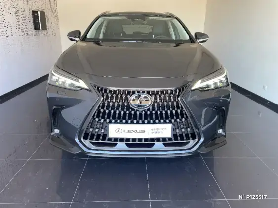 LEXUS NX II - voiture de démonstration - Photo 3