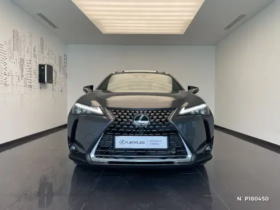 LEXUS UX - voiture de démonstration - Photo 3