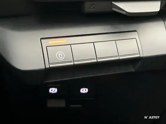 RENAULT MEGANE V - voiture de démonstration - Photo 15