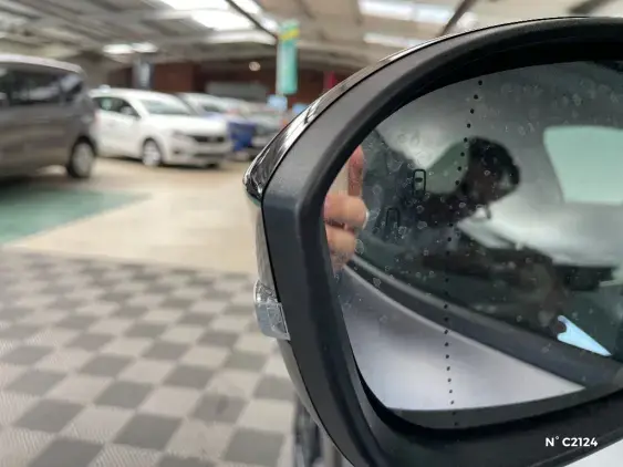 RENAULT MEGANE V - voiture de démonstration - Photo 28