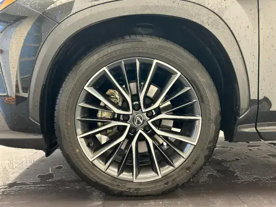 LEXUS NX II - voiture de démonstration - Photo 23