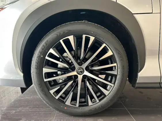 LEXUS RZ - voiture de démonstration - Photo 23