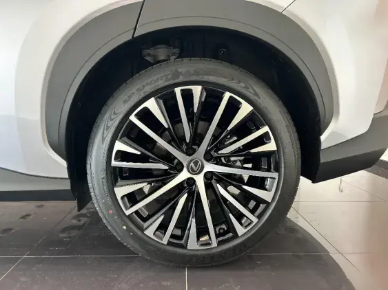 LEXUS RZ - voiture de démonstration - Photo 24