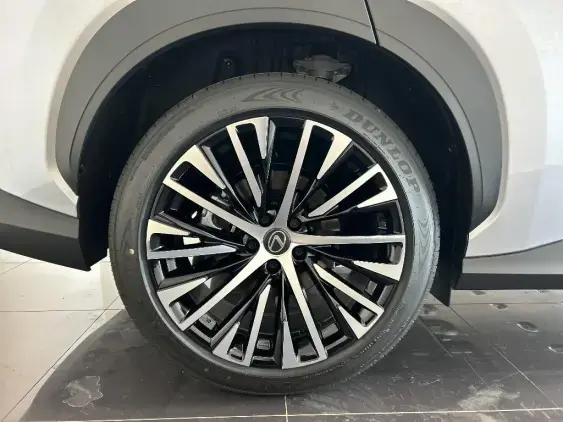 LEXUS RZ - voiture de démonstration - Photo 25