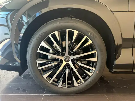 LEXUS RZ - voiture de démonstration - Photo 23