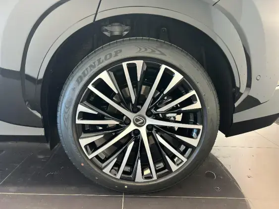 LEXUS RZ - voiture de démonstration - Photo 24