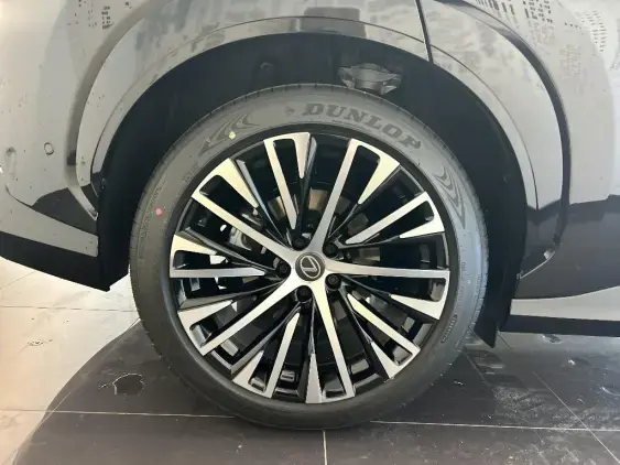 LEXUS RZ - voiture de démonstration - Photo 25