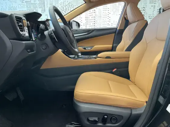 LEXUS NX II - voiture de démonstration - Photo 18