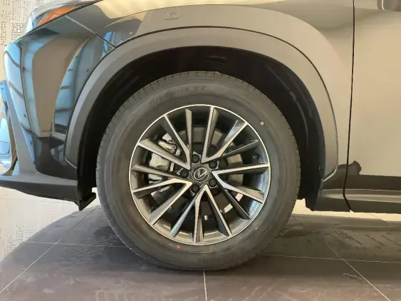 LEXUS NX II - voiture de démonstration - Photo 22