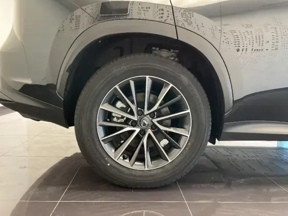 LEXUS NX II - voiture de démonstration - Photo 24
