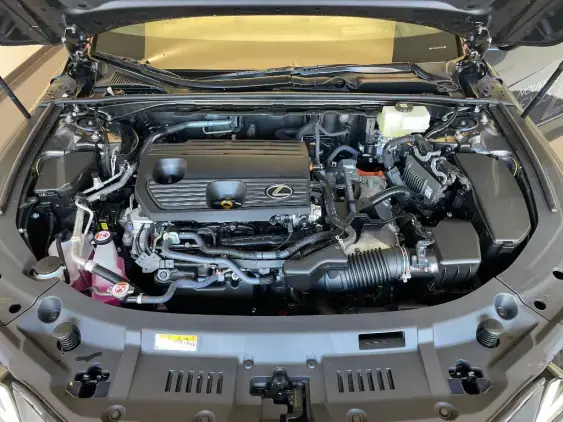 LEXUS ES VIII - voiture de démonstration - Photo 21