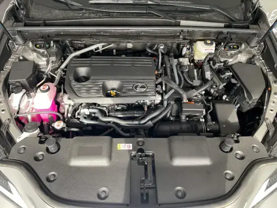 LEXUS NX II - voiture de démonstration - Photo 21