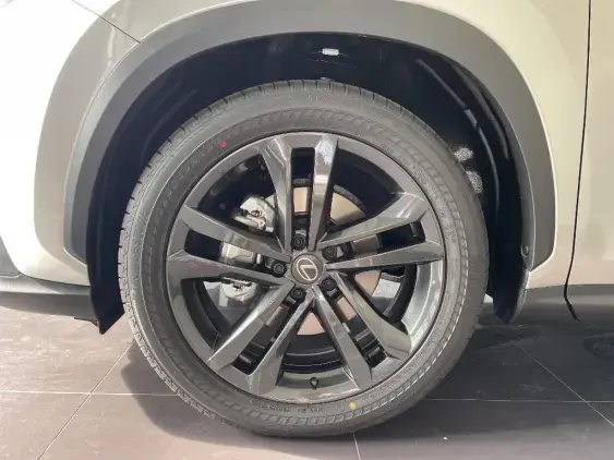 LEXUS NX II - voiture de démonstration - Photo 23