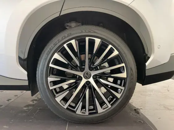 LEXUS RZ - voiture de démonstration - Photo 23