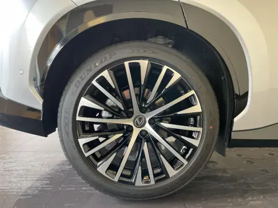 LEXUS RZ - voiture de démonstration - Photo 24