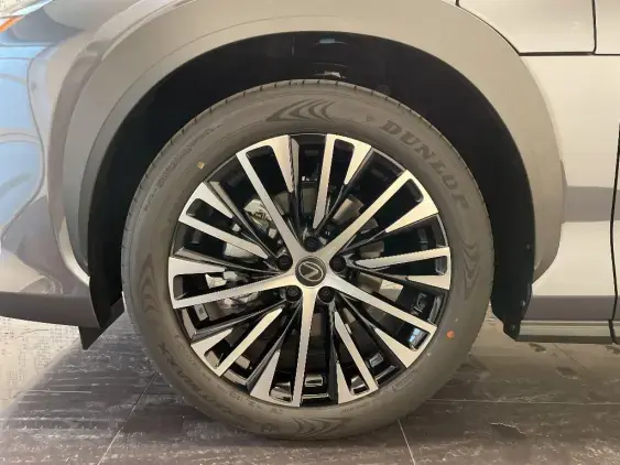 LEXUS RZ - voiture de démonstration - Photo 23