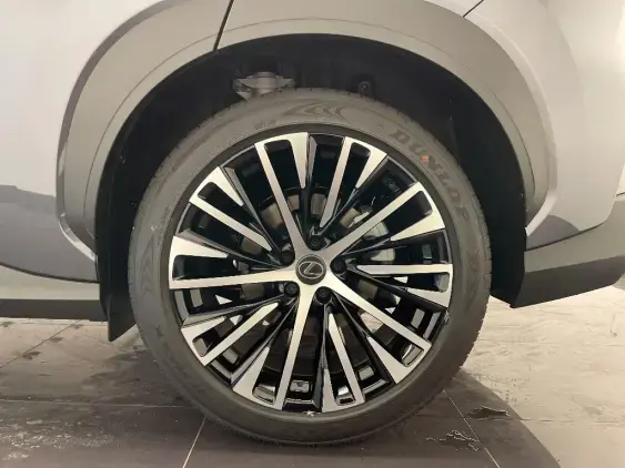 LEXUS RZ - voiture de démonstration - Photo 24