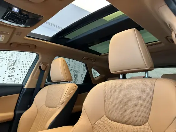 LEXUS NX II - voiture de démonstration - Photo 21