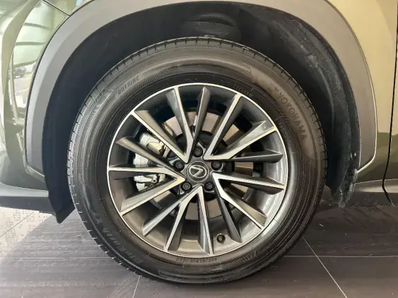 LEXUS NX II - voiture de démonstration - Photo 23