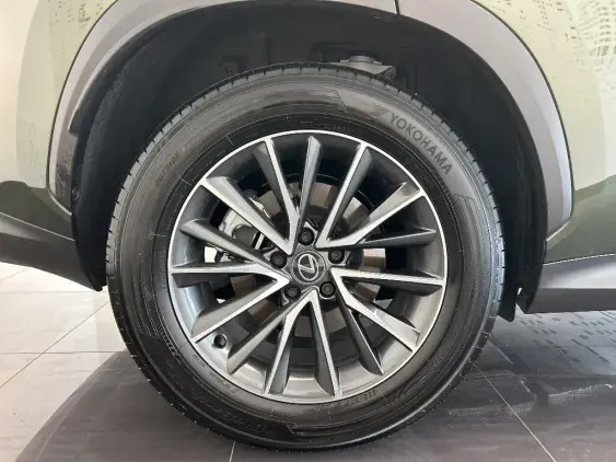 LEXUS NX II - voiture de démonstration - Photo 25