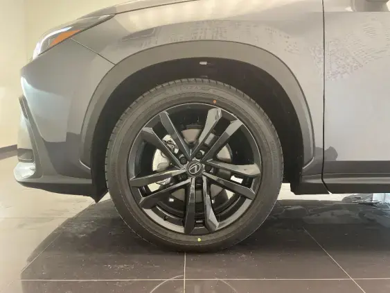 LEXUS NX II - voiture de démonstration - Photo 23