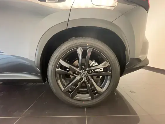 LEXUS NX II - voiture de démonstration - Photo 24