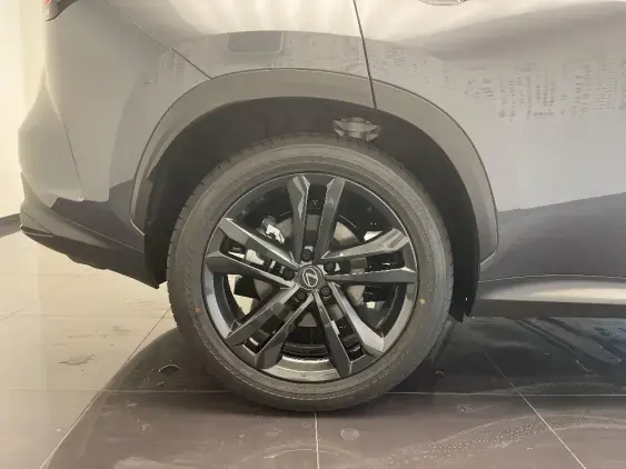 LEXUS NX II - voiture de démonstration - Photo 25