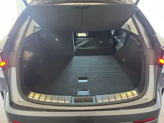 LEXUS NX II - voiture de démonstration - Photo 16