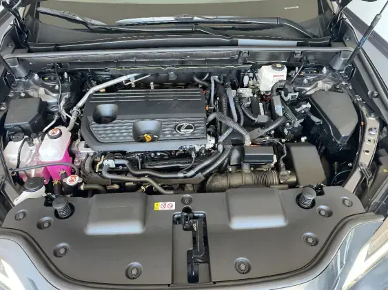 LEXUS NX II - voiture de démonstration - Photo 21