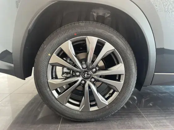 LEXUS UX - voiture de démonstration - Photo 25