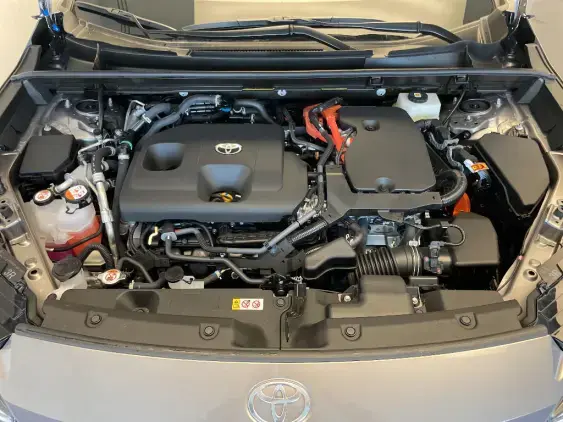 TOYOTA RAV 4 VI - voiture de démonstration - Photo 21