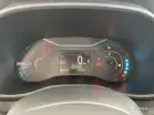 DACIA SPRING - Photo 12